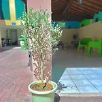 Ca Venexian * Mira