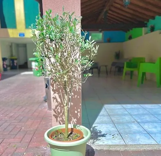 Ca Venexian * Mira