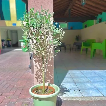 Ca Venexian * Mira